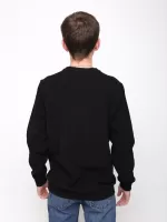 толстовка MCS 921-2 черн  L-3xl M