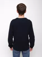 толстовка MCS 920-1-V т/син  L-3xl M