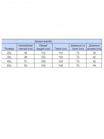Футболка чоловіча біла однотонна пряма великий розмір 8108-B-4