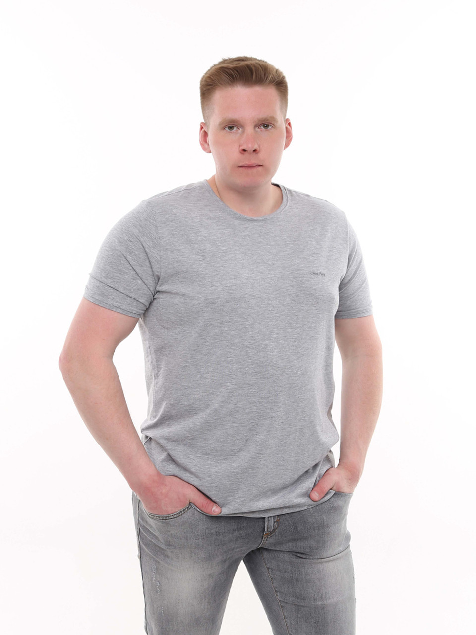 Футболка чоловіча сіра однотонна пряма 8107-8