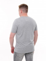 Футболка чоловіча сіра однотонна пряма 8107-8