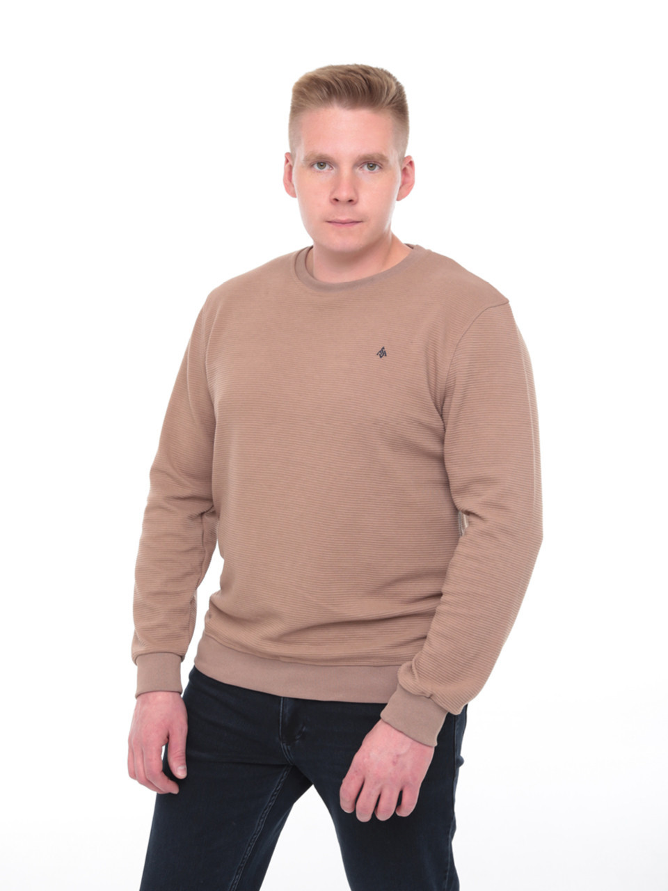 Джемпер чоловічий бежевий прямий однотонний 8122-1