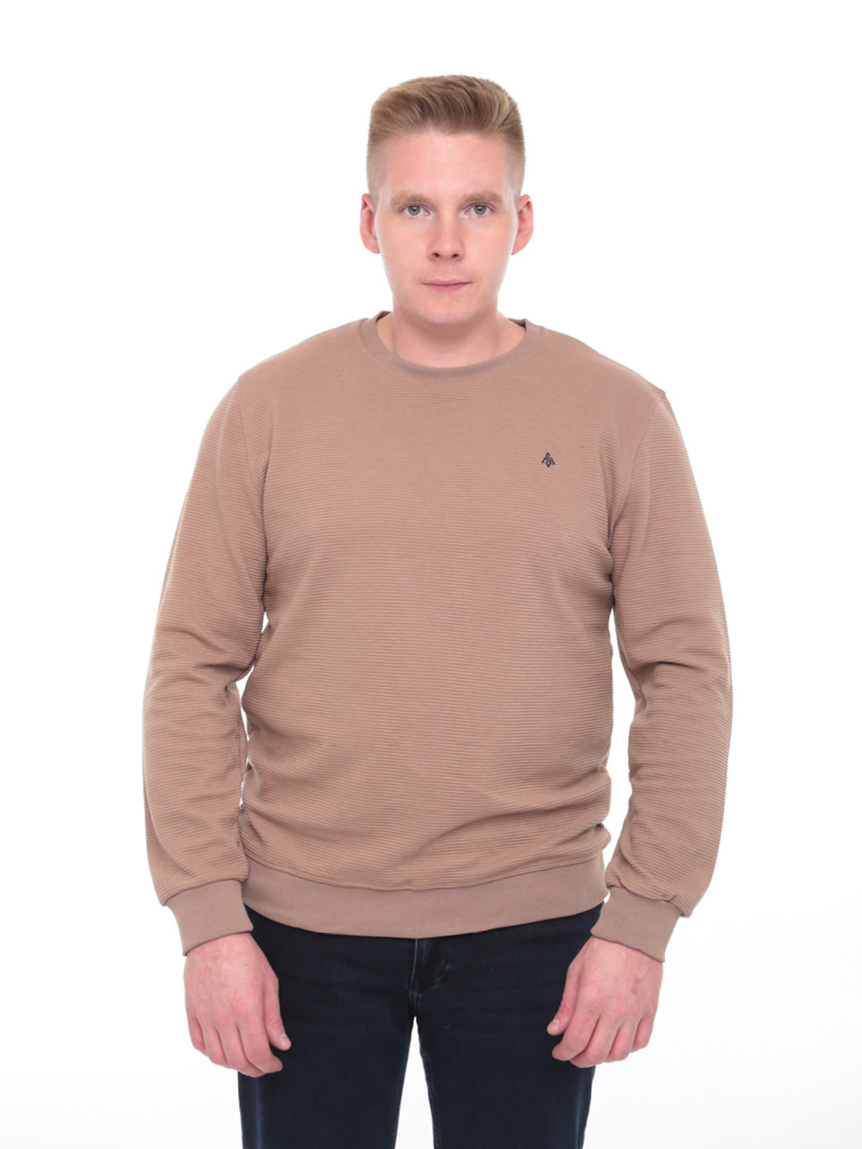 Джемпер чоловічий бежевий прямий однотонний 8122-1