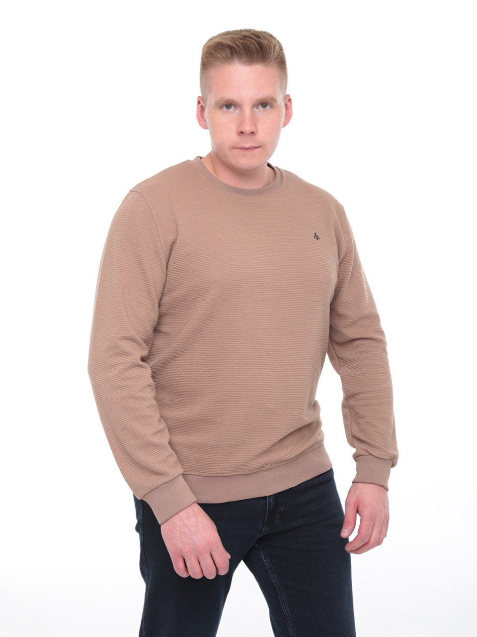 Джемпер чоловічий бежевий прямий однотонний 8122-1