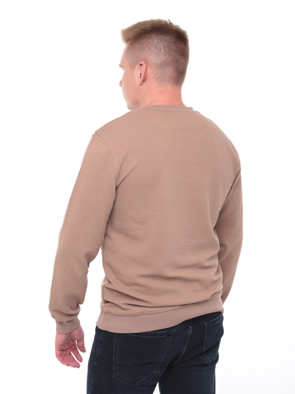 Джемпер чоловічий бежевий прямий однотонний 8122-1