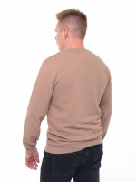 Джемпер чоловічий бежевий прямий однотонний 8122-1