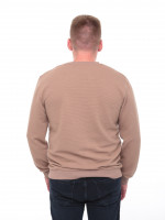 Джемпер чоловічий бежевий прямий однотонний 8122-1