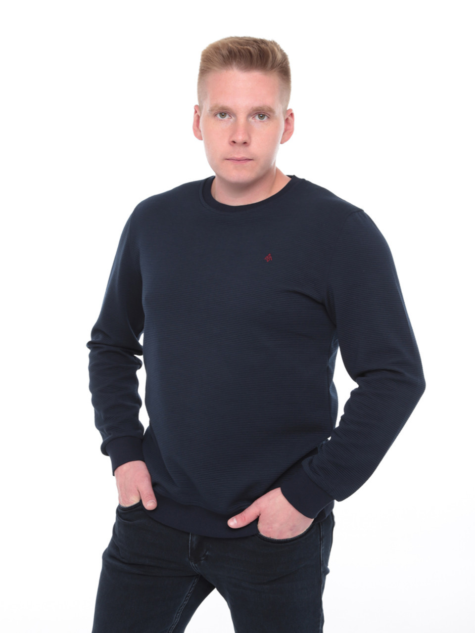 Джемпер чоловічий темно-синій прямий однотонний 8122-2