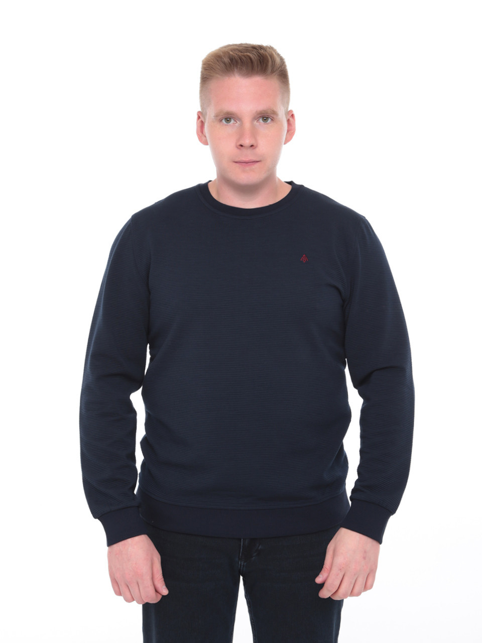 Джемпер чоловічий темно-синій прямий однотонний 8122-2