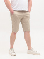 Шорты мужские бежевые в полоску 4326-3