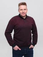 Поло чоловіче бордове з довгим рукавом 9301-2