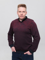 Поло чоловіче бордове з довгим рукавом 9301-2