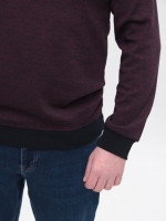 Джемпер чоловічий бордовий 8301-2