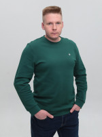 Світшот чоловічий зелений однотонний 8503-3