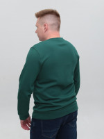 Світшот чоловічий зелений однотонний 8503-3
