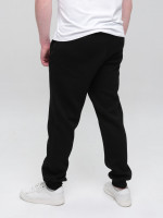 Спортивні штани чоловічі чорні джогери на флісі 0229-1