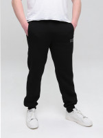 Спортивні штани чоловічі чорні джогери на флісі 0229-1