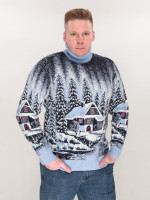 Светр чоловічий зимовий з будиночками блакитний 230-561-5