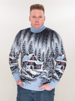 Светр чоловічий зимовий з будиночками блакитний 230-561-5