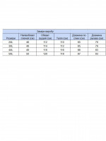 Куртка джинсова чоловіча синя 19092-B-7477 474