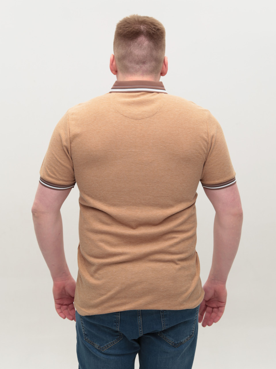 Поло чоловіче бежеве короткий рукав 9624-7