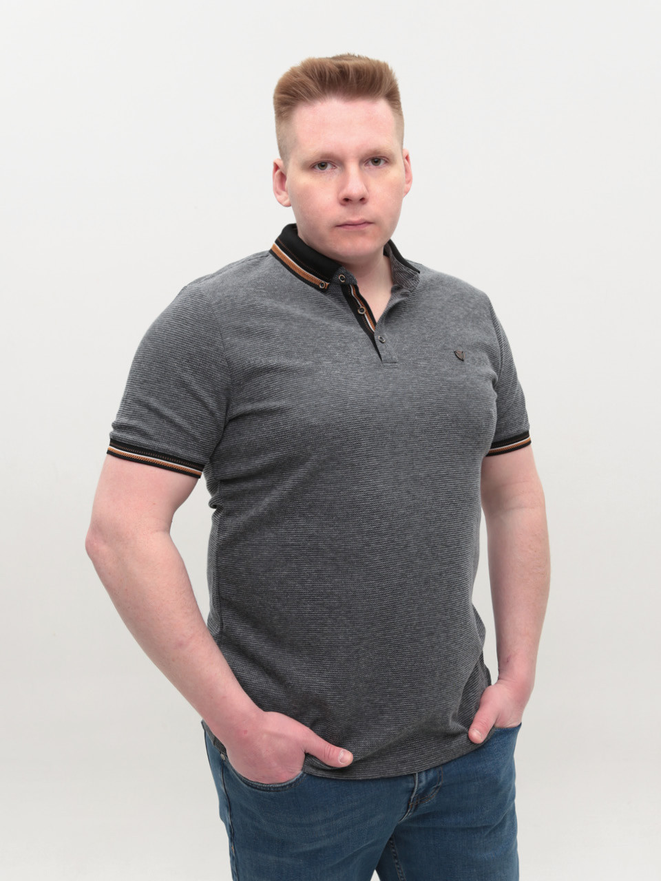 Поло чоловіче сіре короткий рукав 9624-8