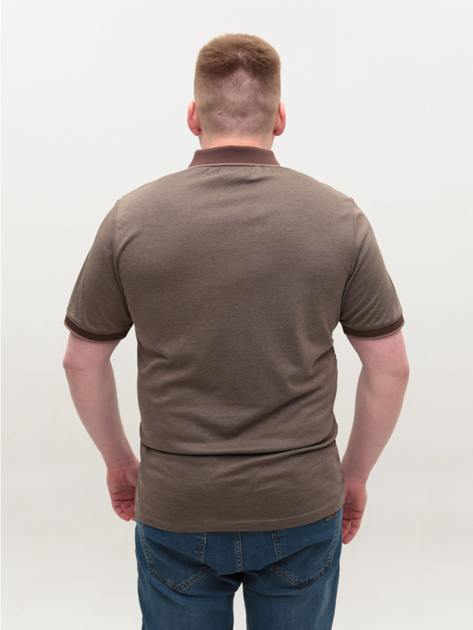 Поло чоловіче коричневе короткий рукав 9801-6