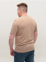 Футболка мужская бежевая однотонная тонкая 122-12