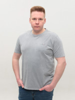 Футболка чоловіча світло-сіра бавовняна розміри 5213-B-3